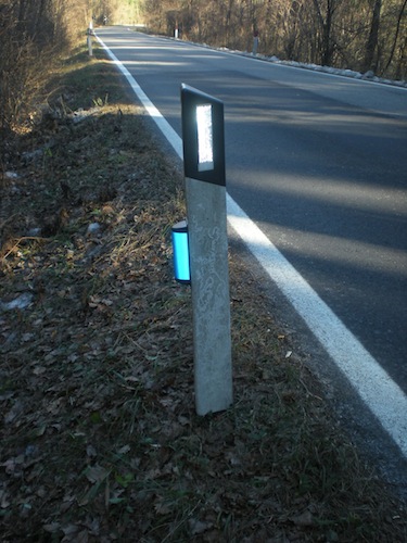 Catarifrangenti nel parco pineta